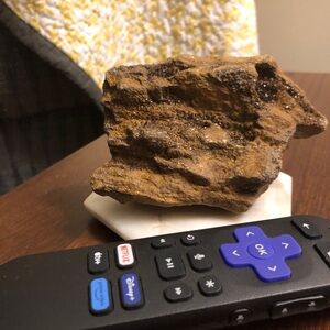 Smoky Quartz petrified wood